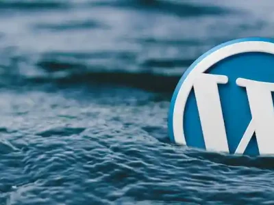 Análisis de WordPress, el CMS por defecto de Internet
