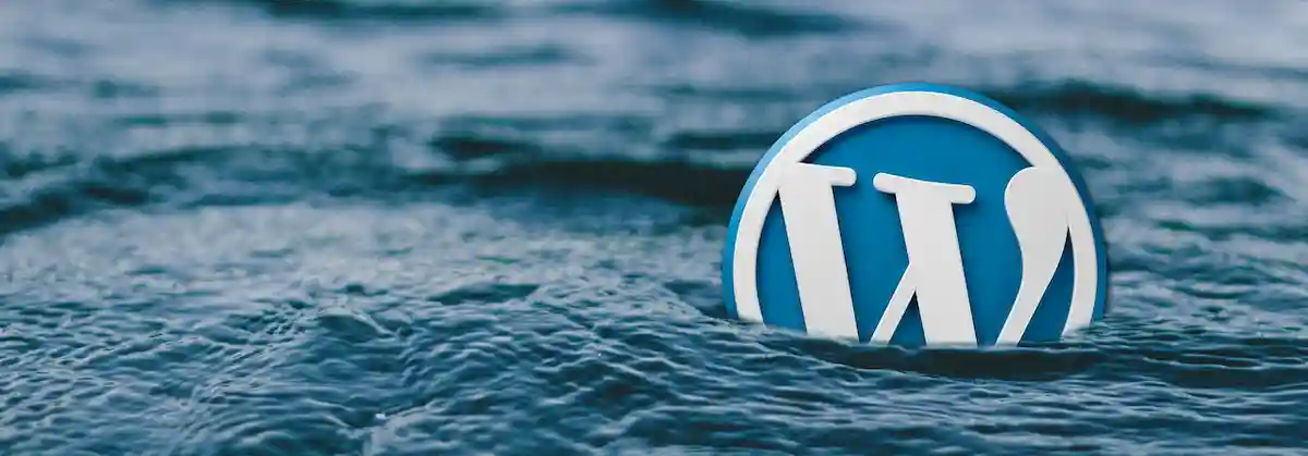 Análisis de WordPress, el CMS por defecto de Internet