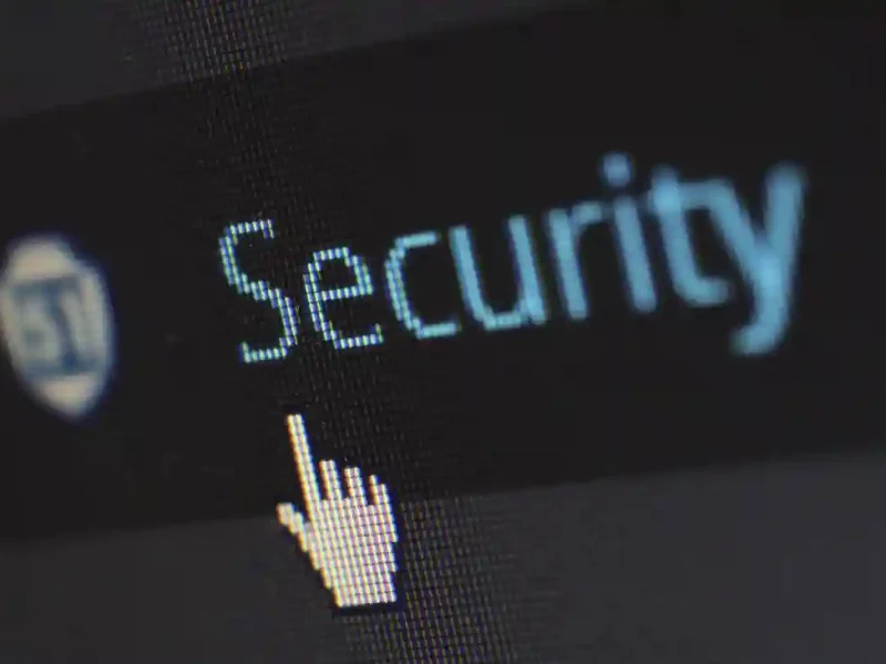 WordPress publica datos de vértigo sobre la seguridad y confirma que no es un juego