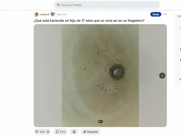 ¿Se le acaba por fin la fiesta a Reddit?